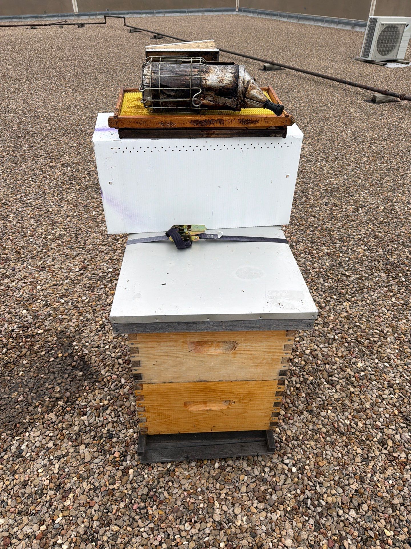 Commercial Rooftop Colony by Rockwall Honey Bee Company