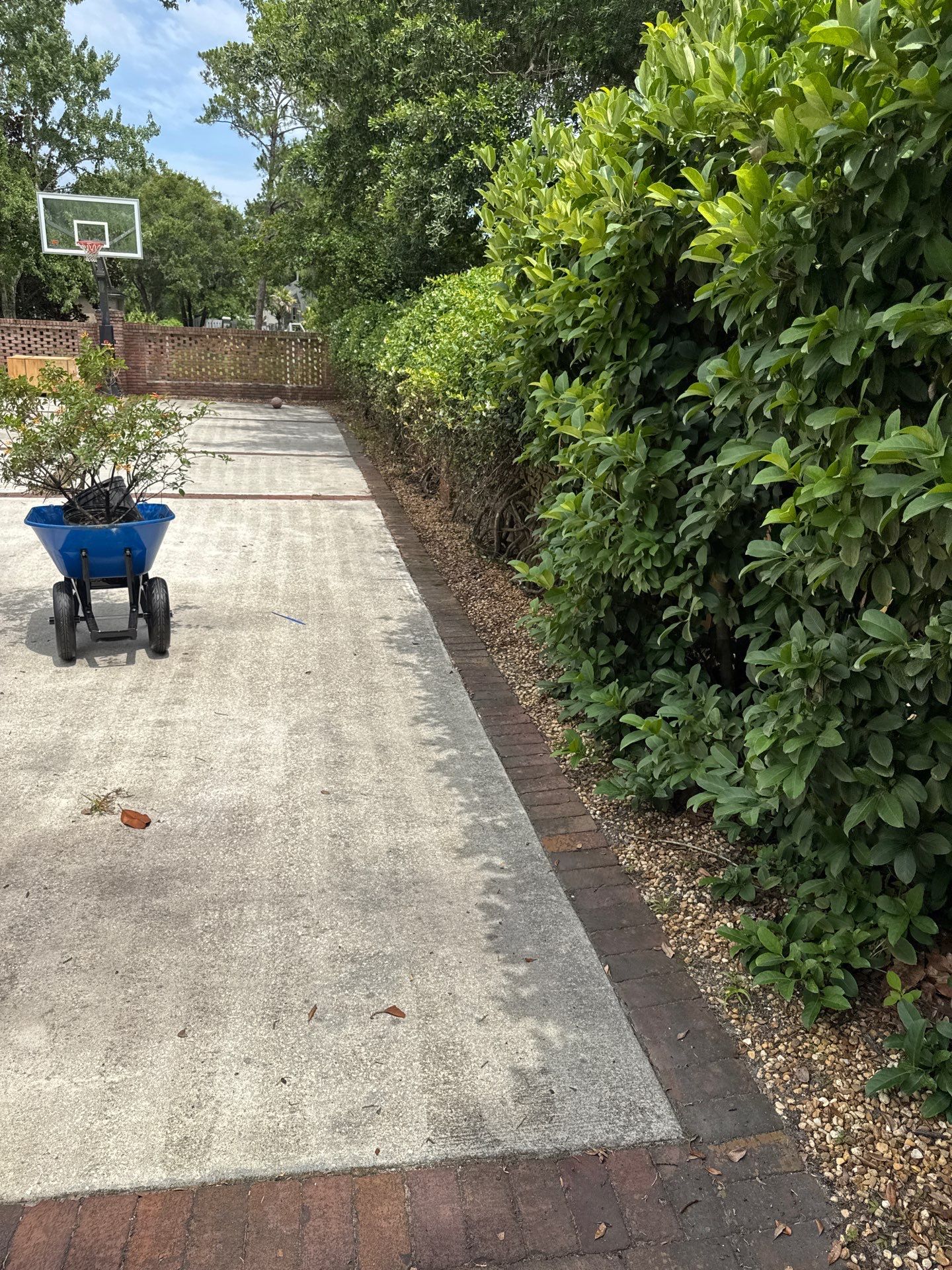 Deerwood Resident | Sod & Plant Install by ProGreen Services