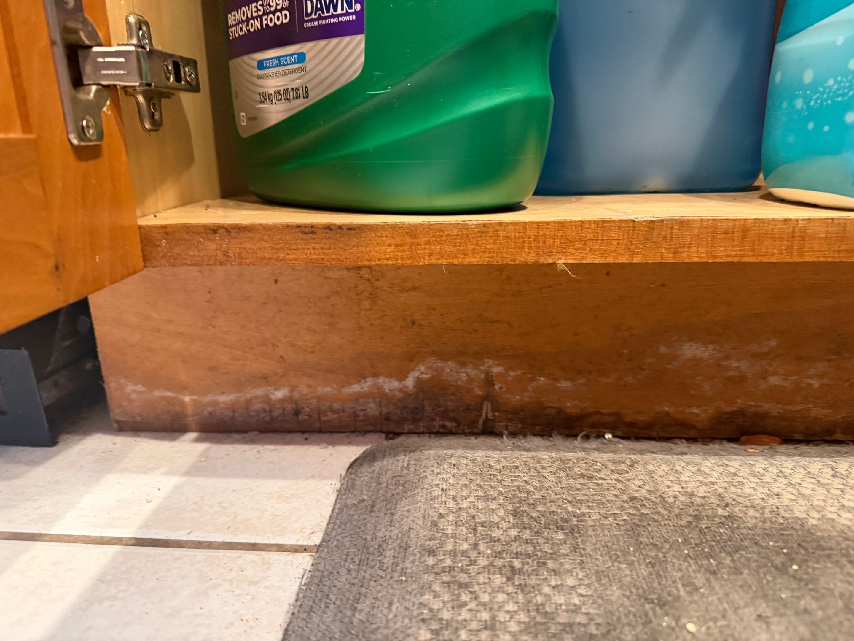 Water Damage Claim in Miami by FLAPA & KeyStone