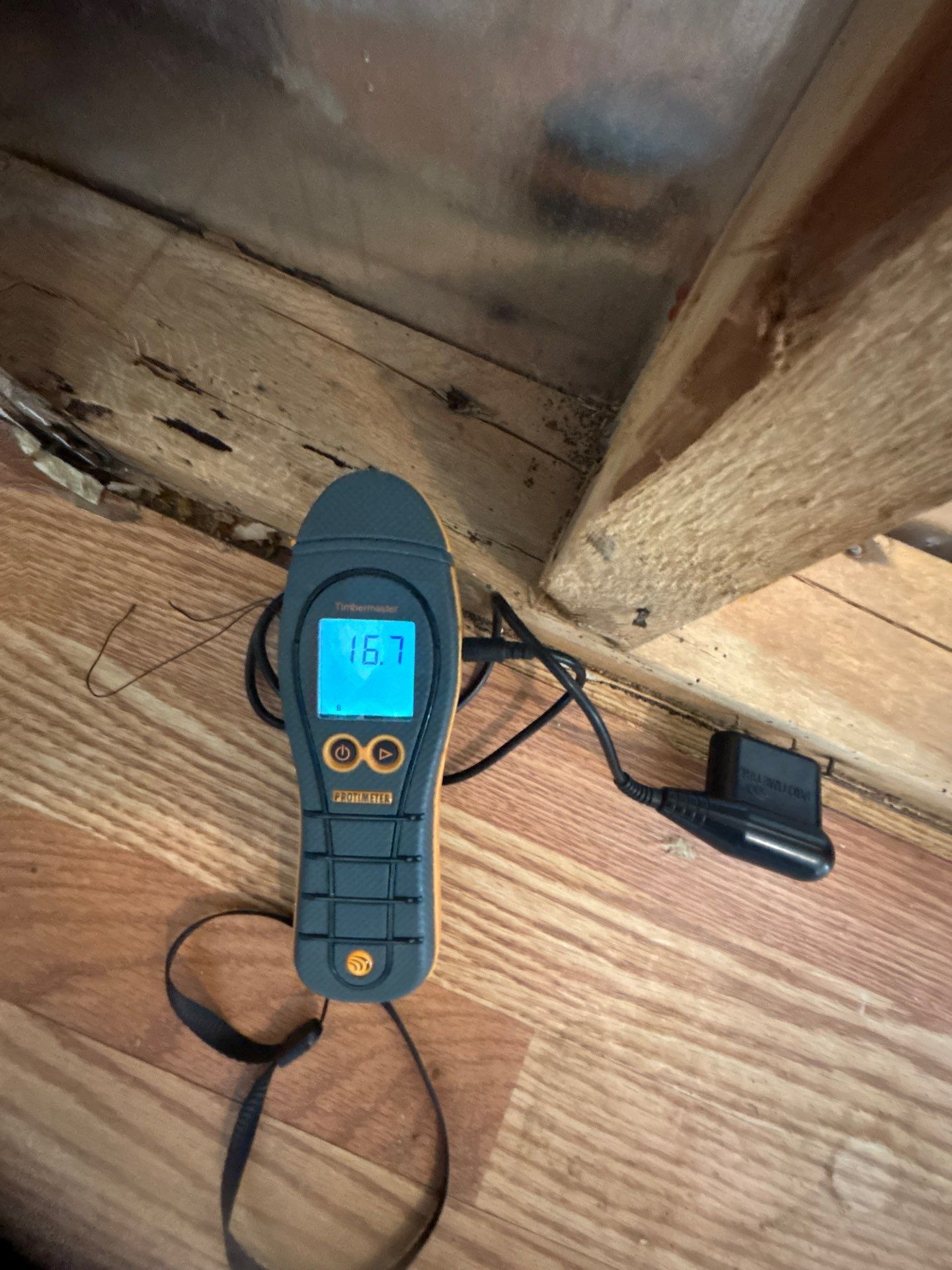 Mold Remediation Bradenton by Ampm Restoration Services 