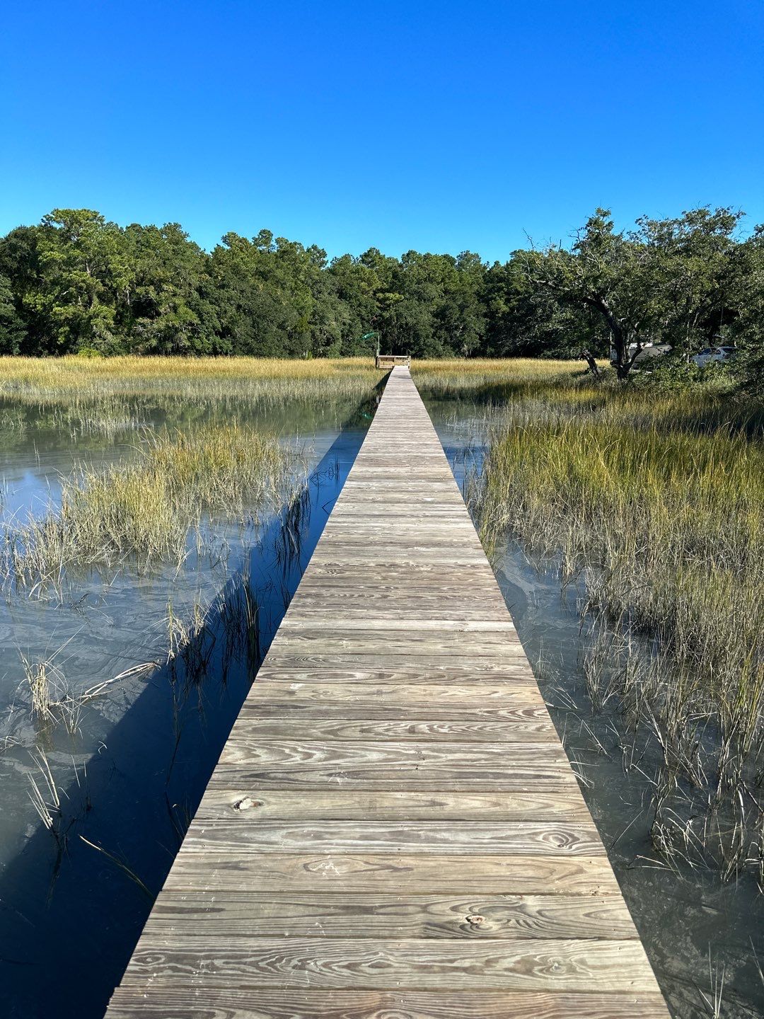 Dock using Wood Sealant by DuraSeal