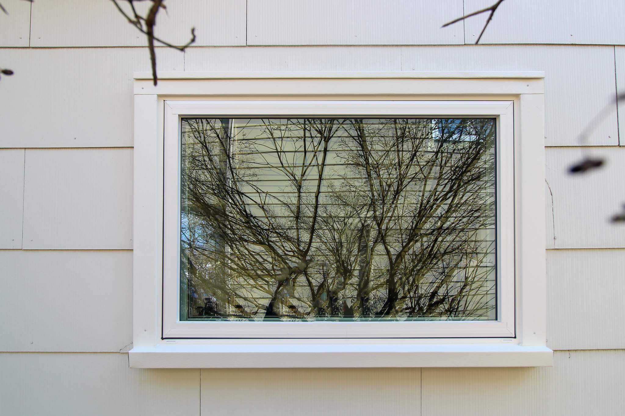 Entry Doors and Window Replacement by Ivy Lea Construction