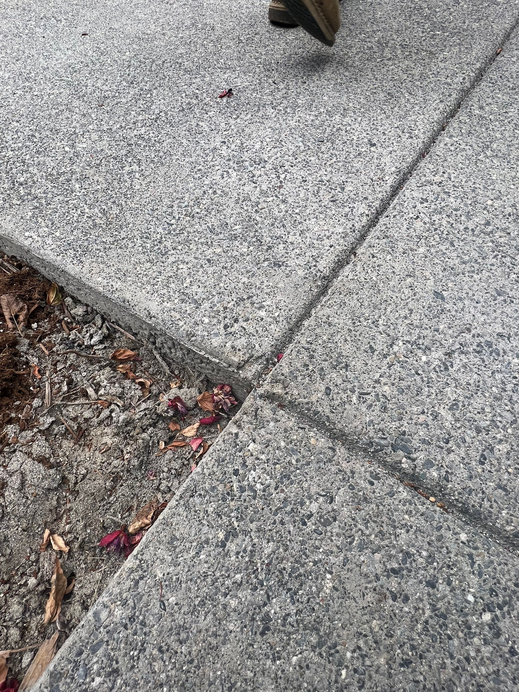 Joan | Concrete Driveway & Walkway   by Jireh Asphalt & Concrete Inc 