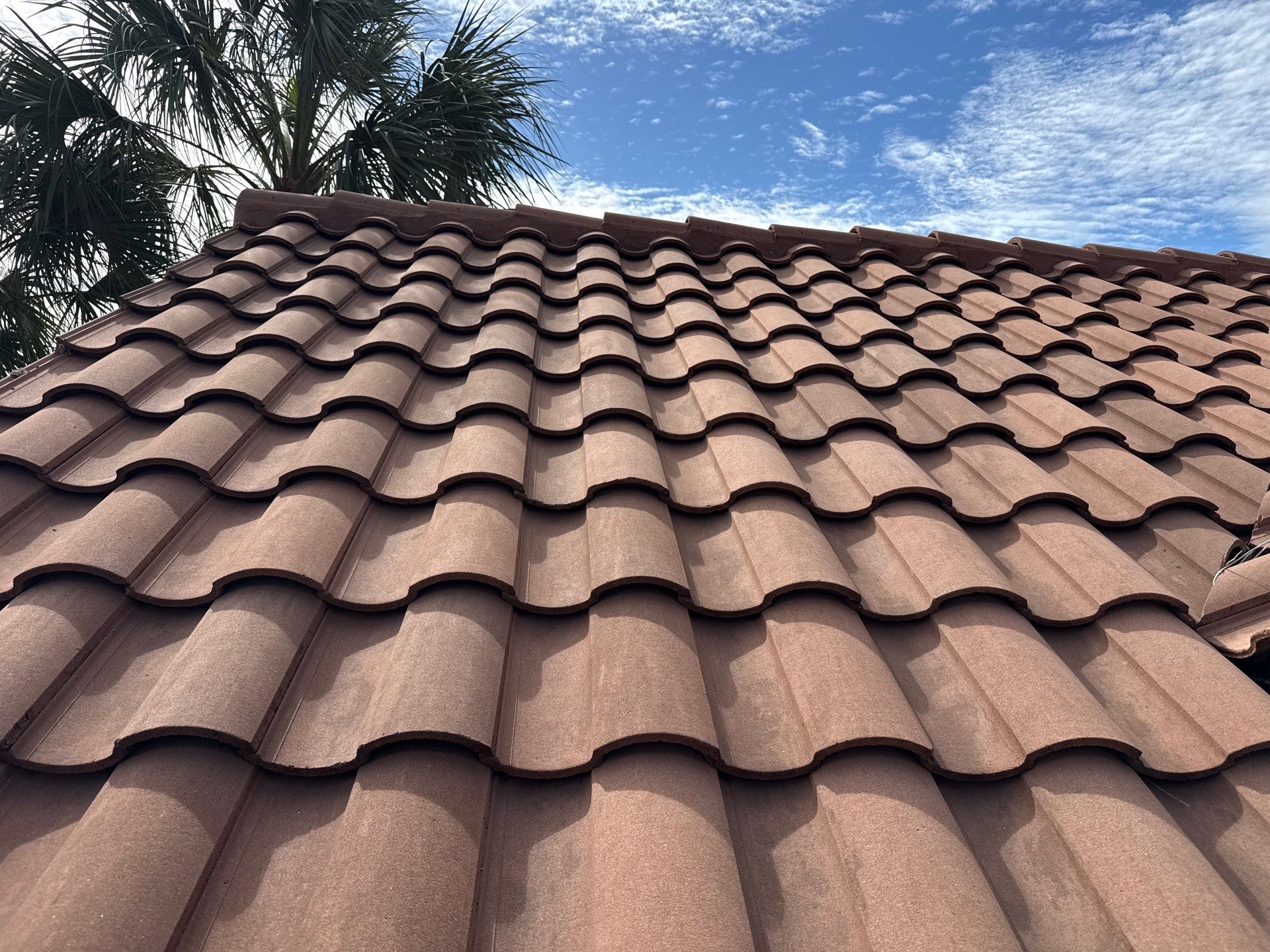🌿 Tile Roof Cleaning in Lakewood Ranch — Safe for Plants & Tortoise-Friendly! 🐢✨ by Sunshine AquaWash