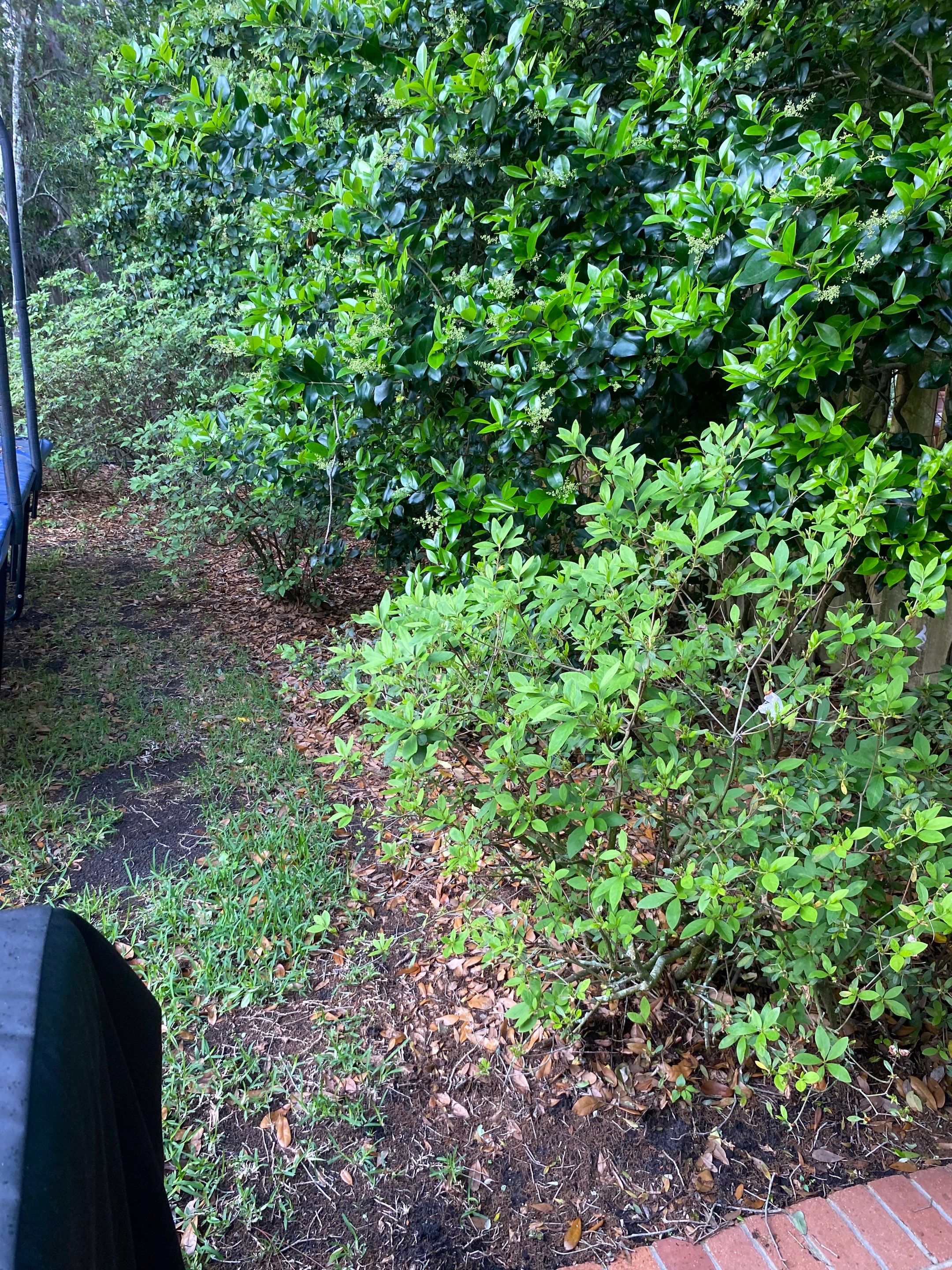 Deerwood Resident | Pine Straw Installation by ProGreen Services
