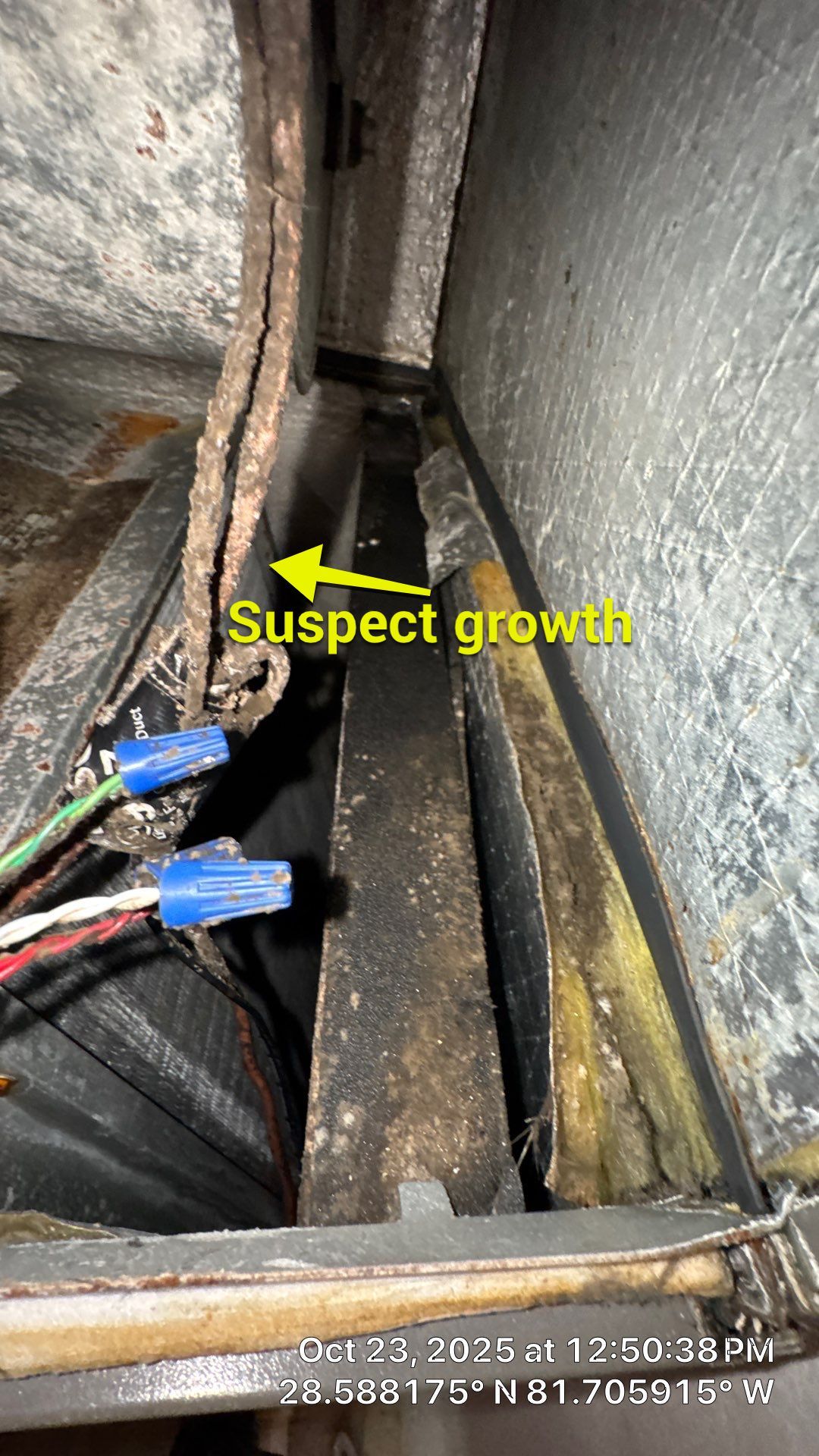 AIr Duct and Dryer Vent Cleaning in Montverde by Hygienic Air, Inc