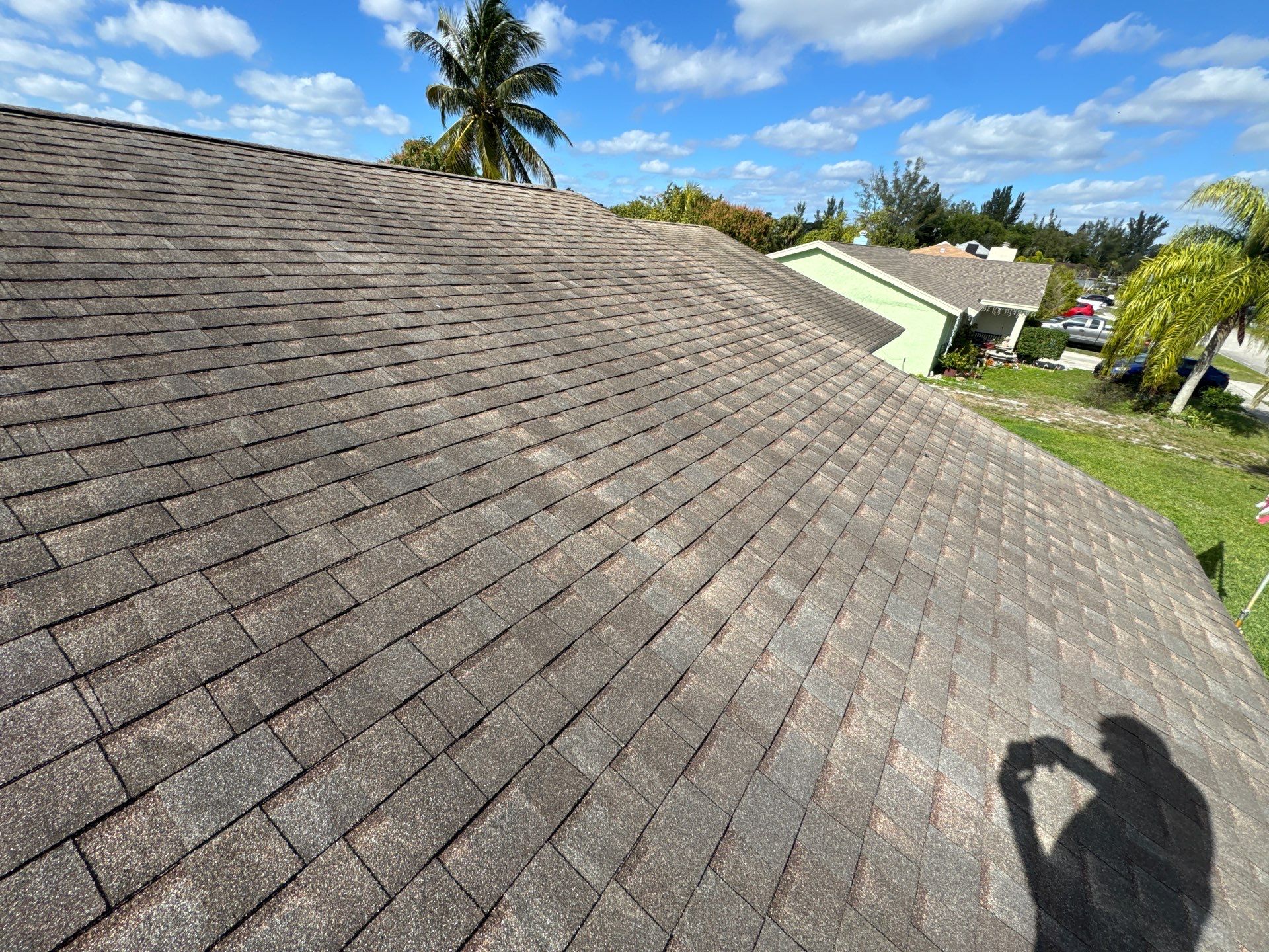 Silver Birch Shingles by Reimagine Roofing