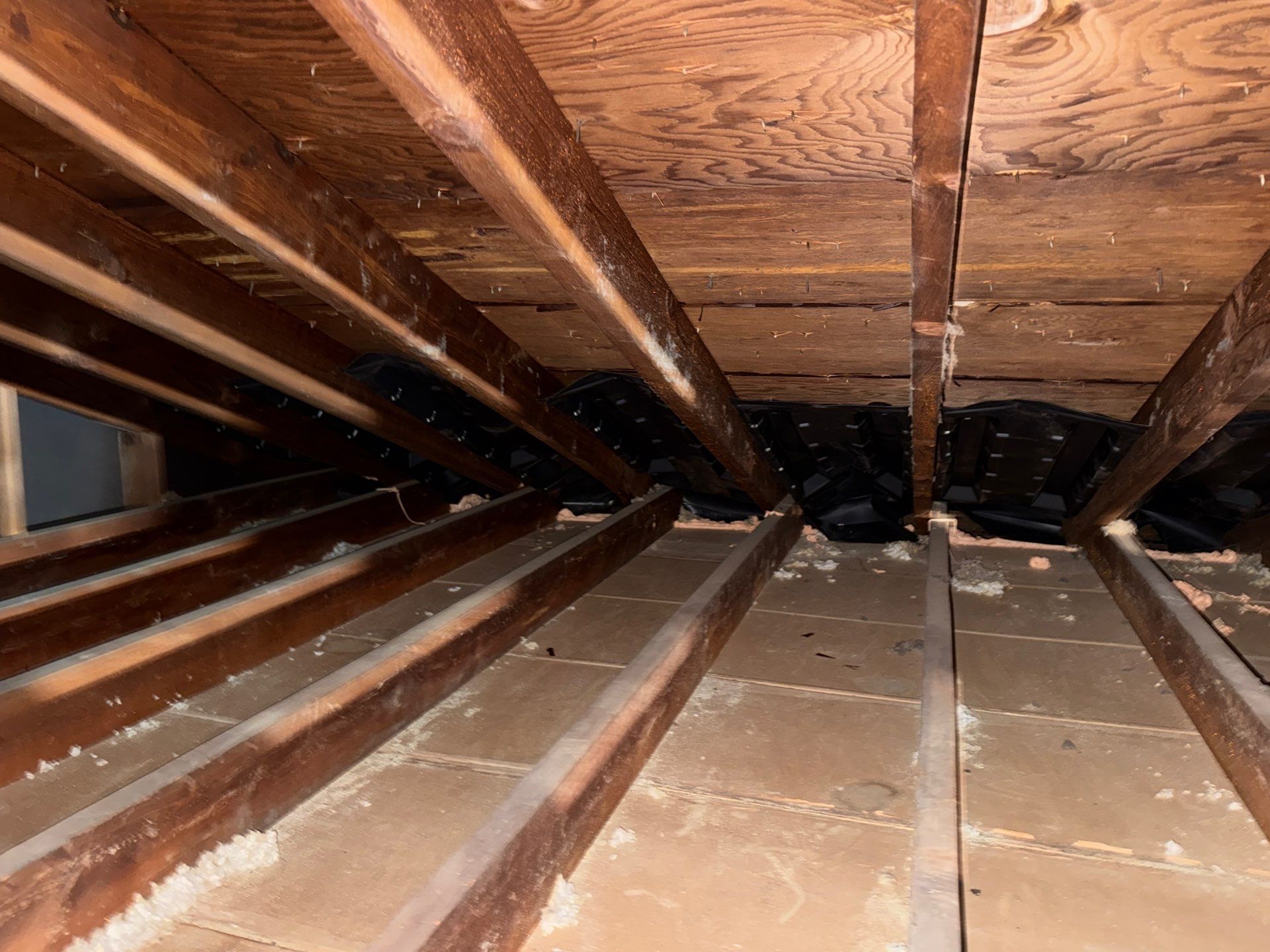 Attic sanitation and insulation upgrade in Moon Township, PA 15108 by Home Environment Solutions