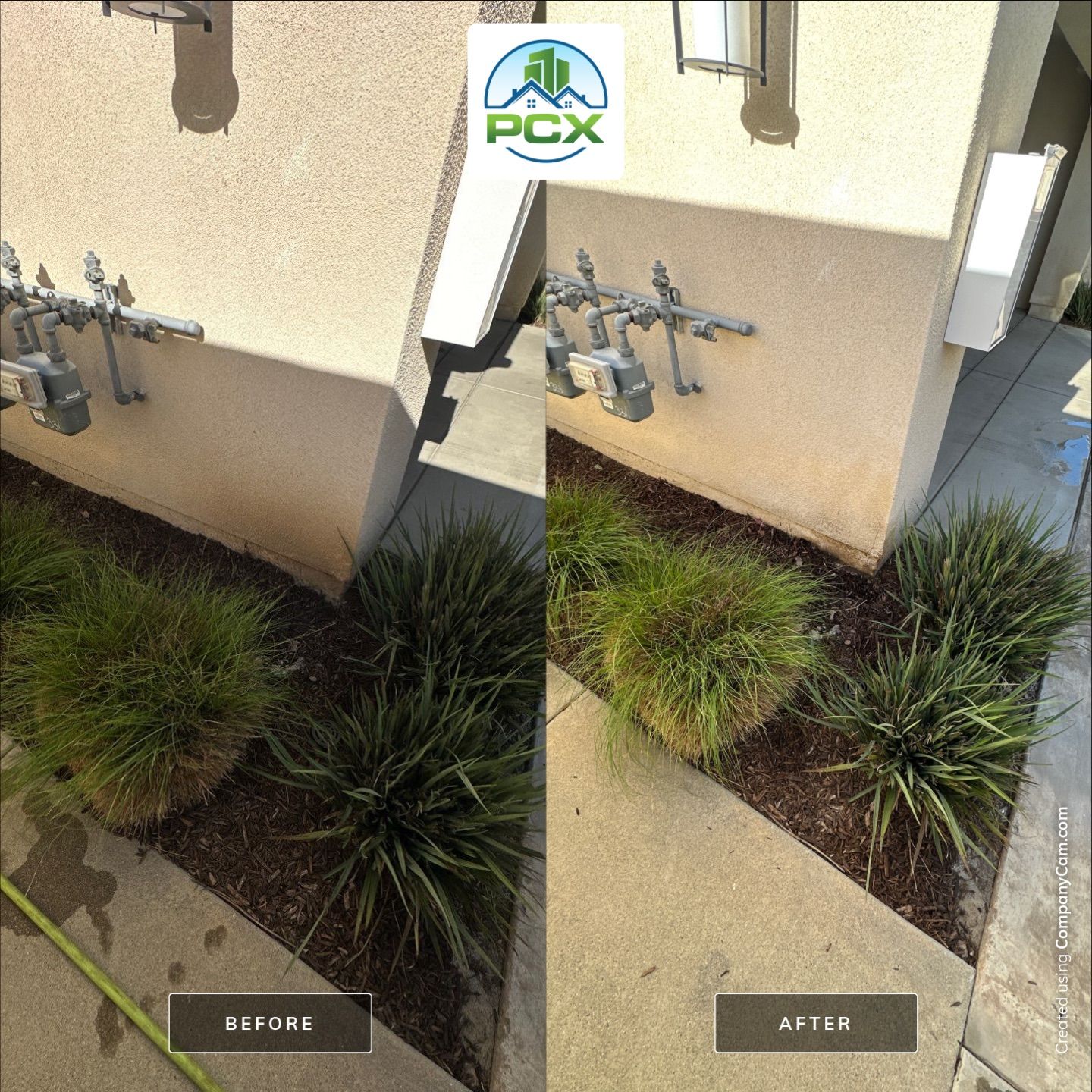 Costa Mesa House Washing - soft wash and chemical removal by Property Cleaning Experts