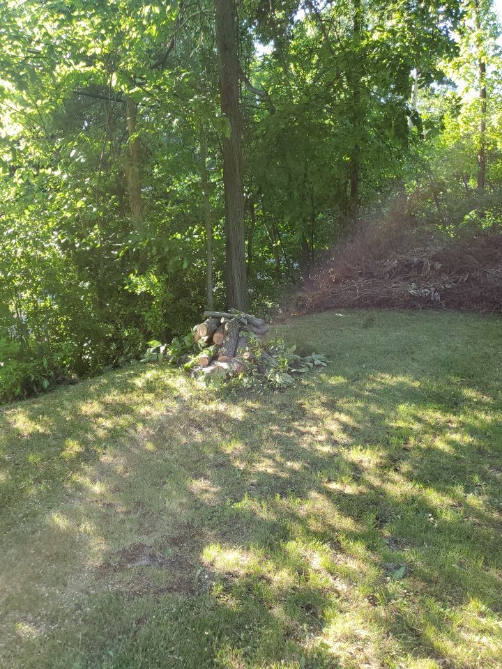 Tree Removal using Tree Removal by Mike Jones & Sons Tree Service LLC 