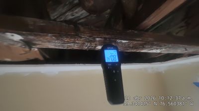 Frozen Pipe Water Damage