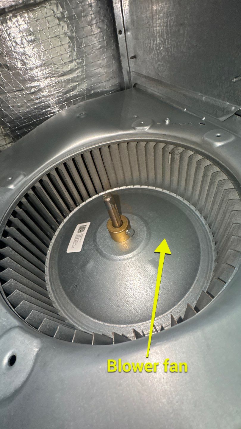 Air Duct and Dryer Vent Cleaning in Clermont by Hygienic Air, Inc