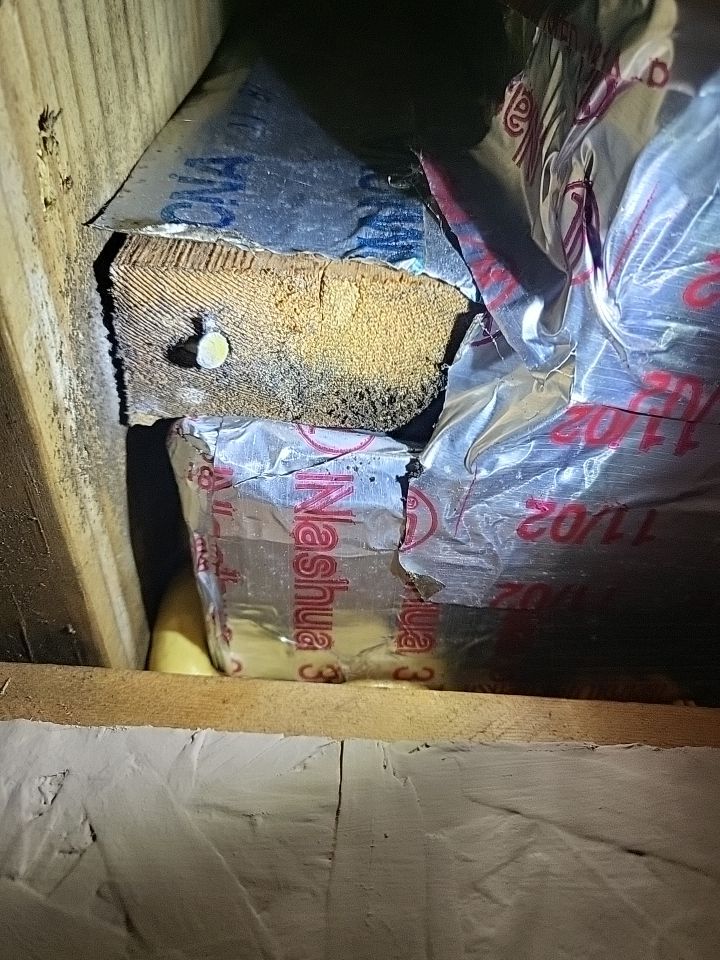 HVAC Mold Remediation & Indoor Air Restoration in Bethany Beach, DE by Healthy Home Solutions