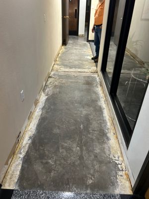 Project in Brighton