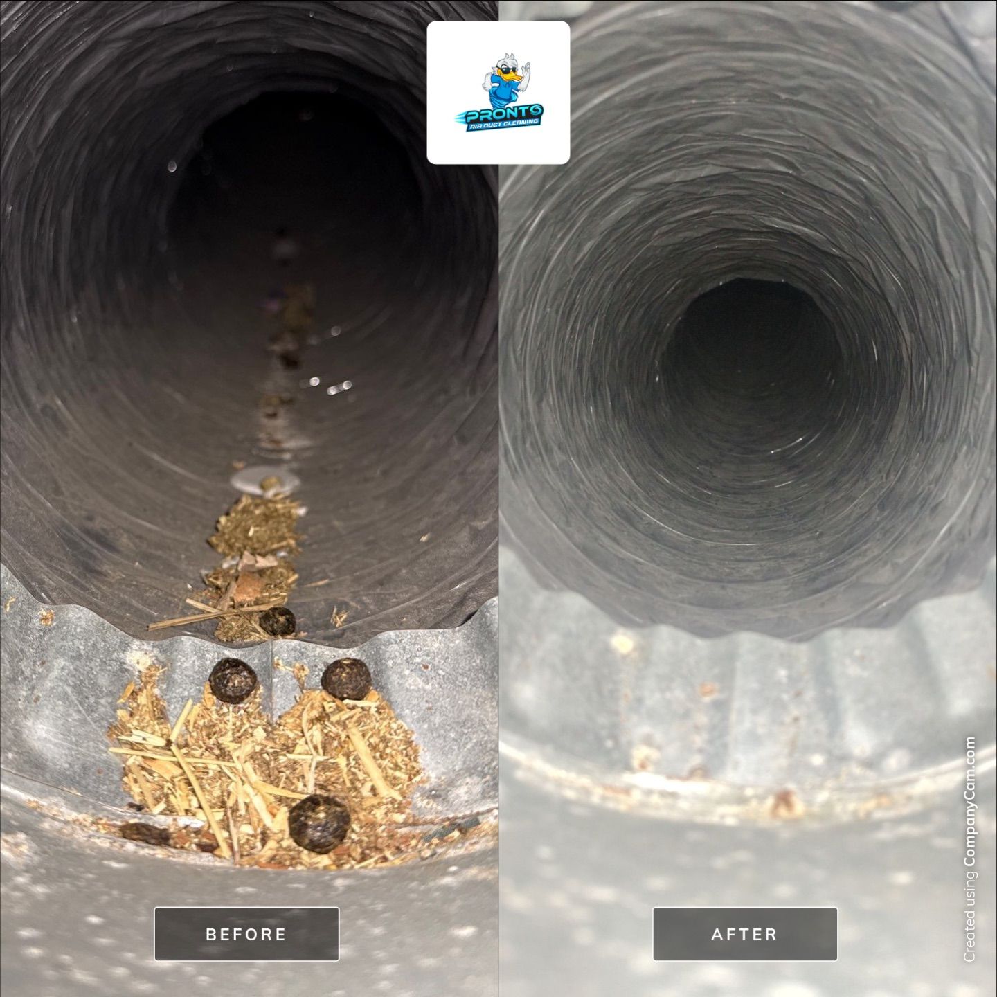 Air Duct Cleaning Manassas Park VA by Pronto Air Duct Cleaning