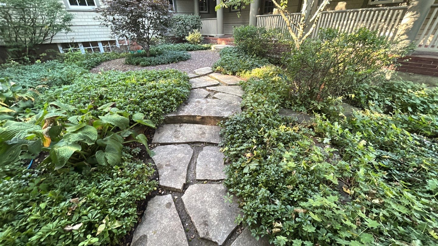 natural stone using Algaecide, soft wash soap by Northern Power Washing LLC.
