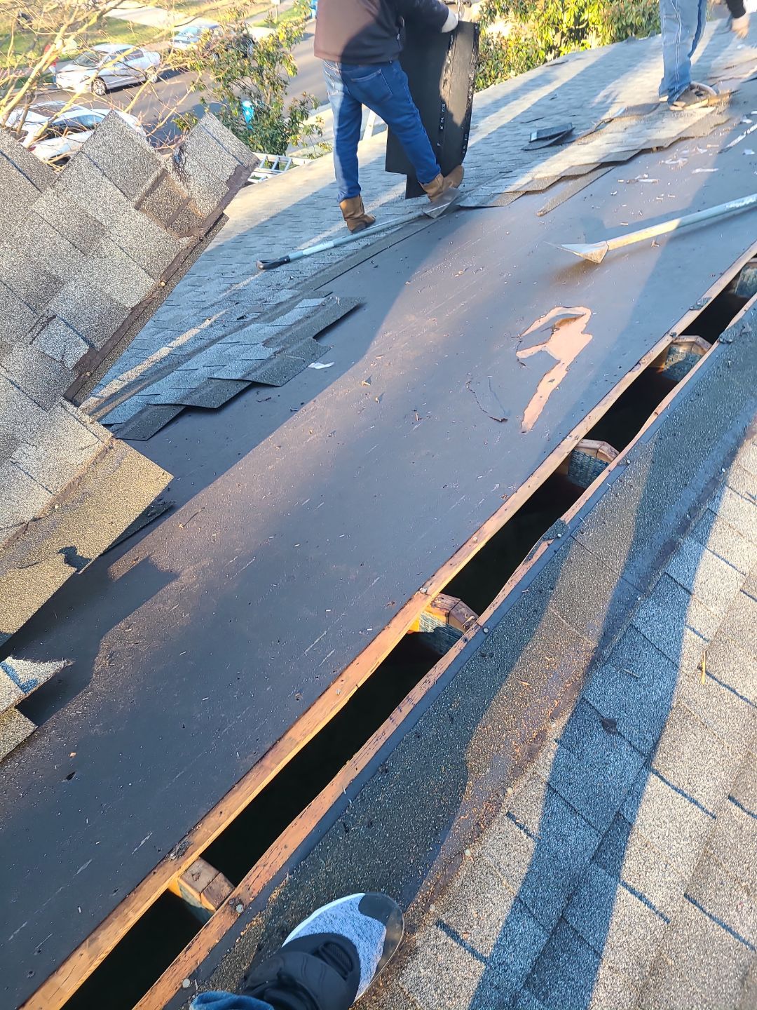 Springfield CertainTeed Landmark Pro Roof in Max Def Pewter by RM Banning, Inc.