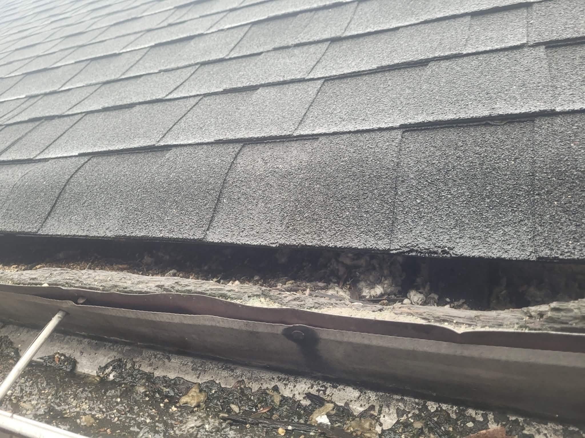 Project in Hamilton by The Roofing Crew