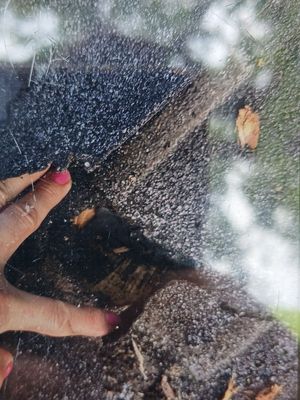 Residential Roofing Repair using Owen's Corning Duration (Lifetime) Shingles