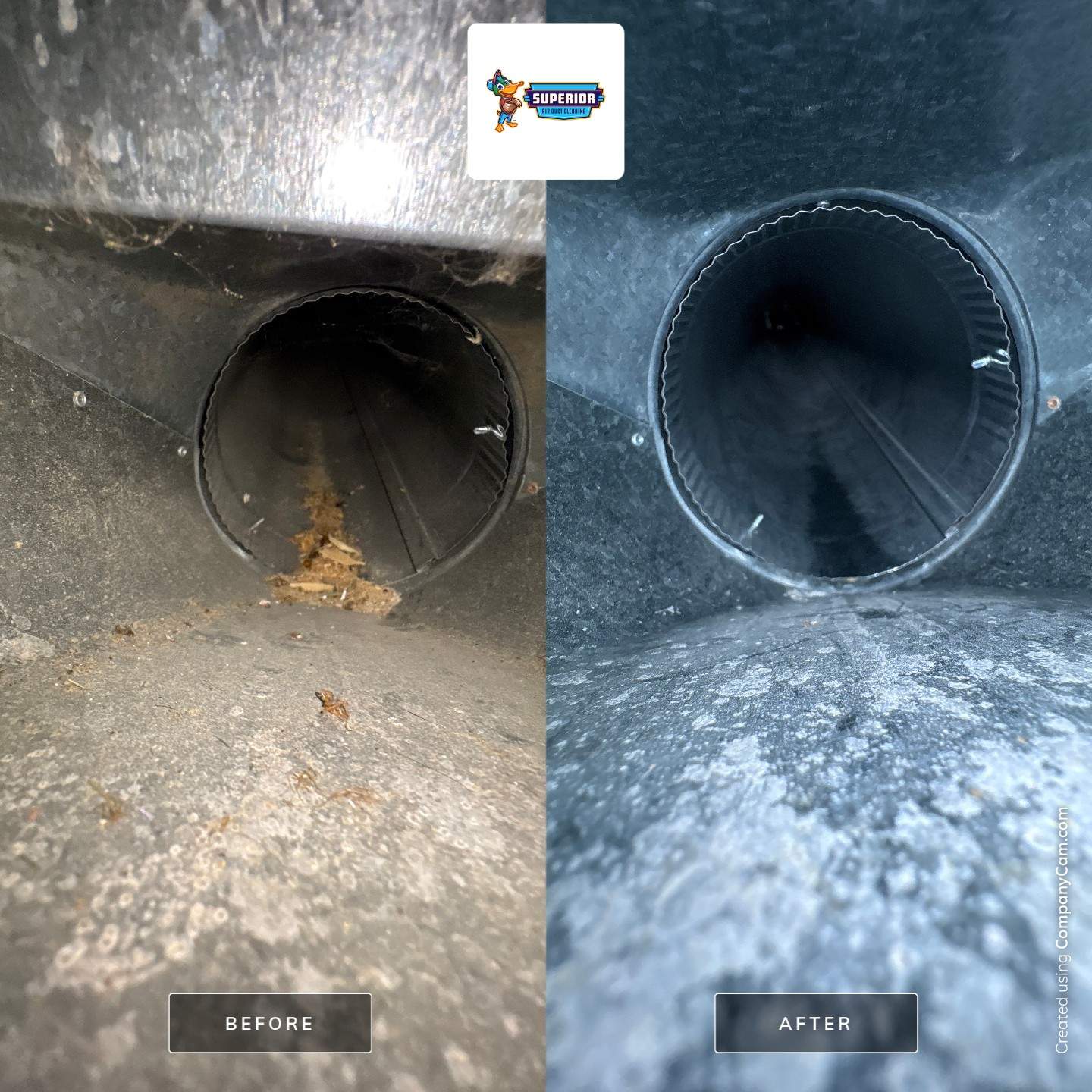 Comprehensive Residential Air Duct Cleaning and HVAC System Service in Beaver Falls by Superior Air Duct Cleaning