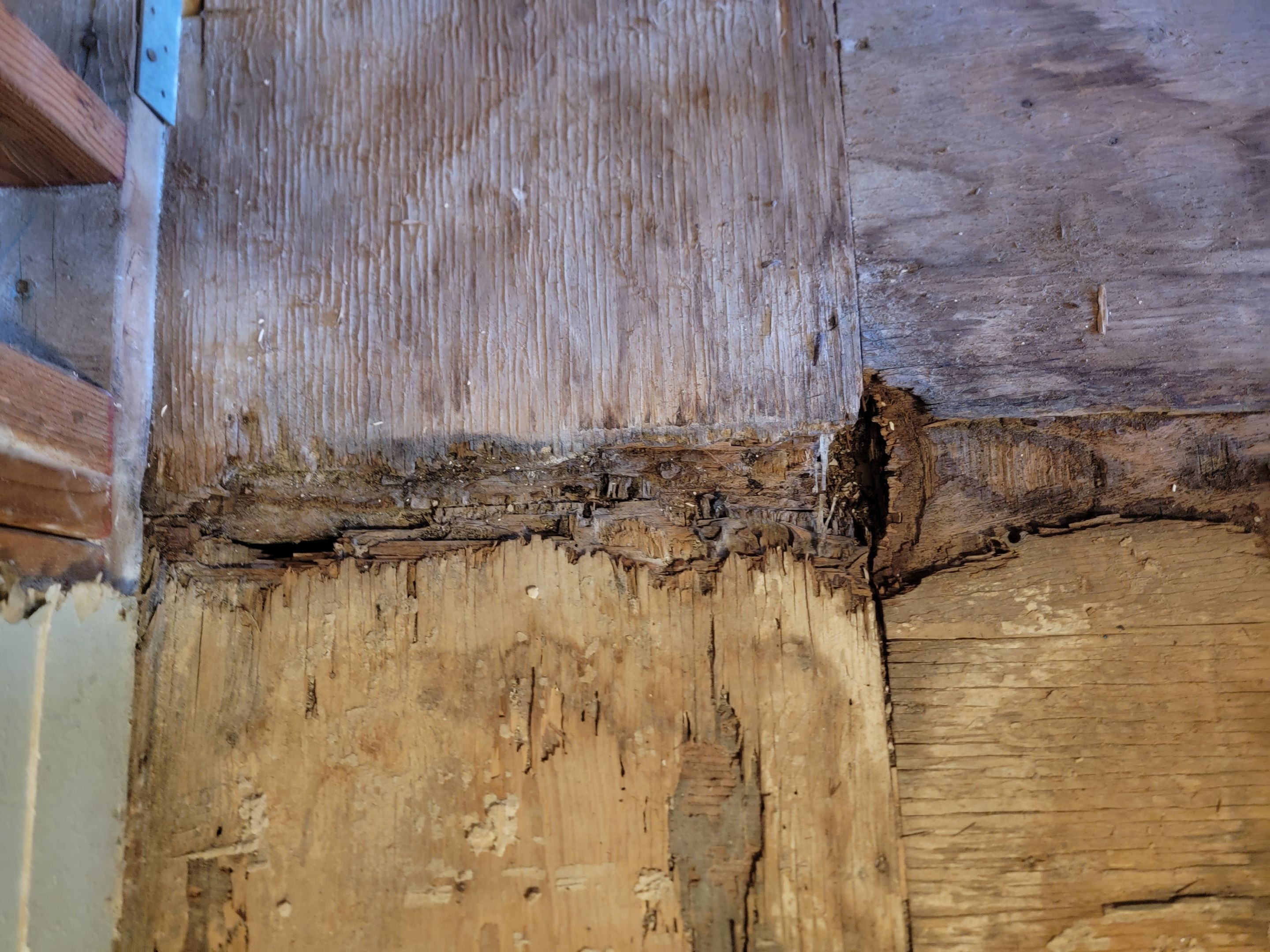 Water Damage and Restoration Completion by Smart Dry Restoration