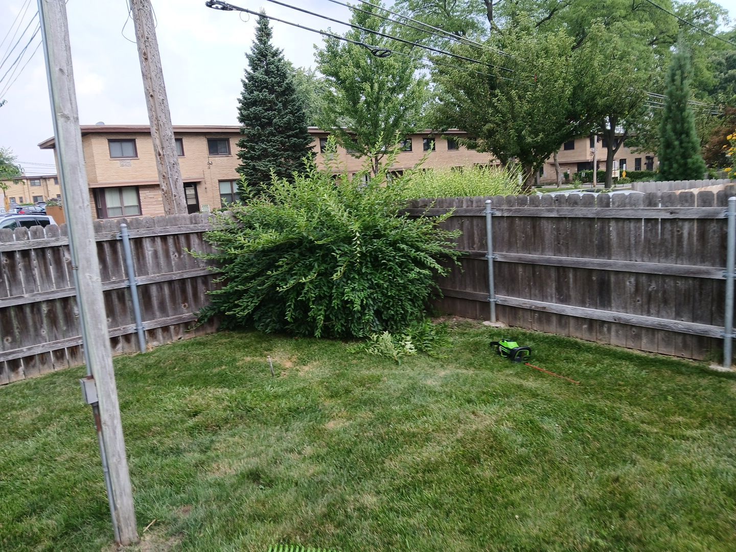 Catherine B. - Mount Prospect, IL by A&N