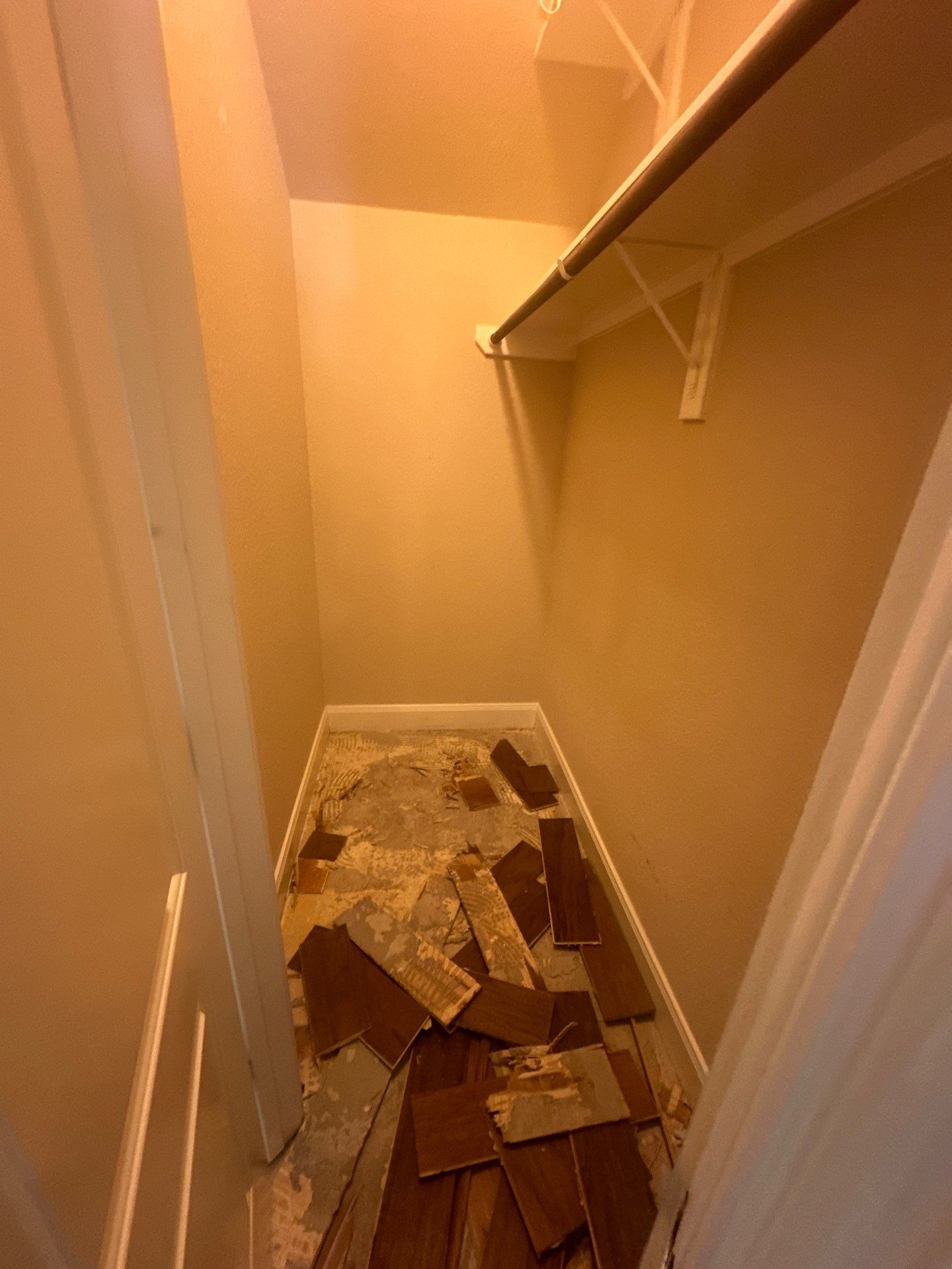 Full House Remodel in Creekside Park by SophAlx LLC