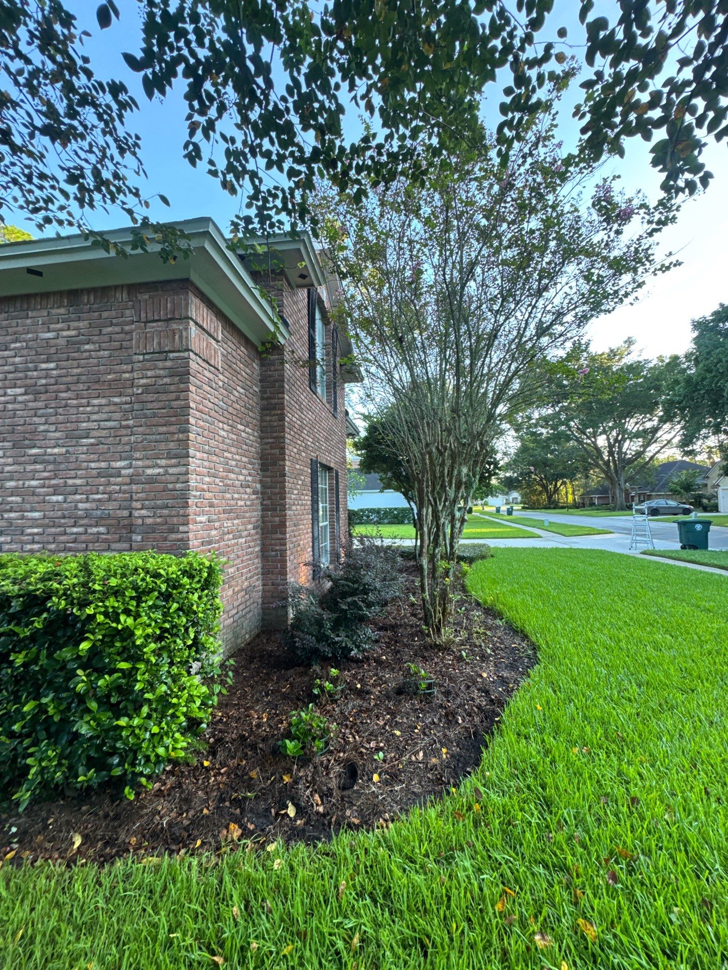 Residential | Shrub Trimming by ProGreen Services