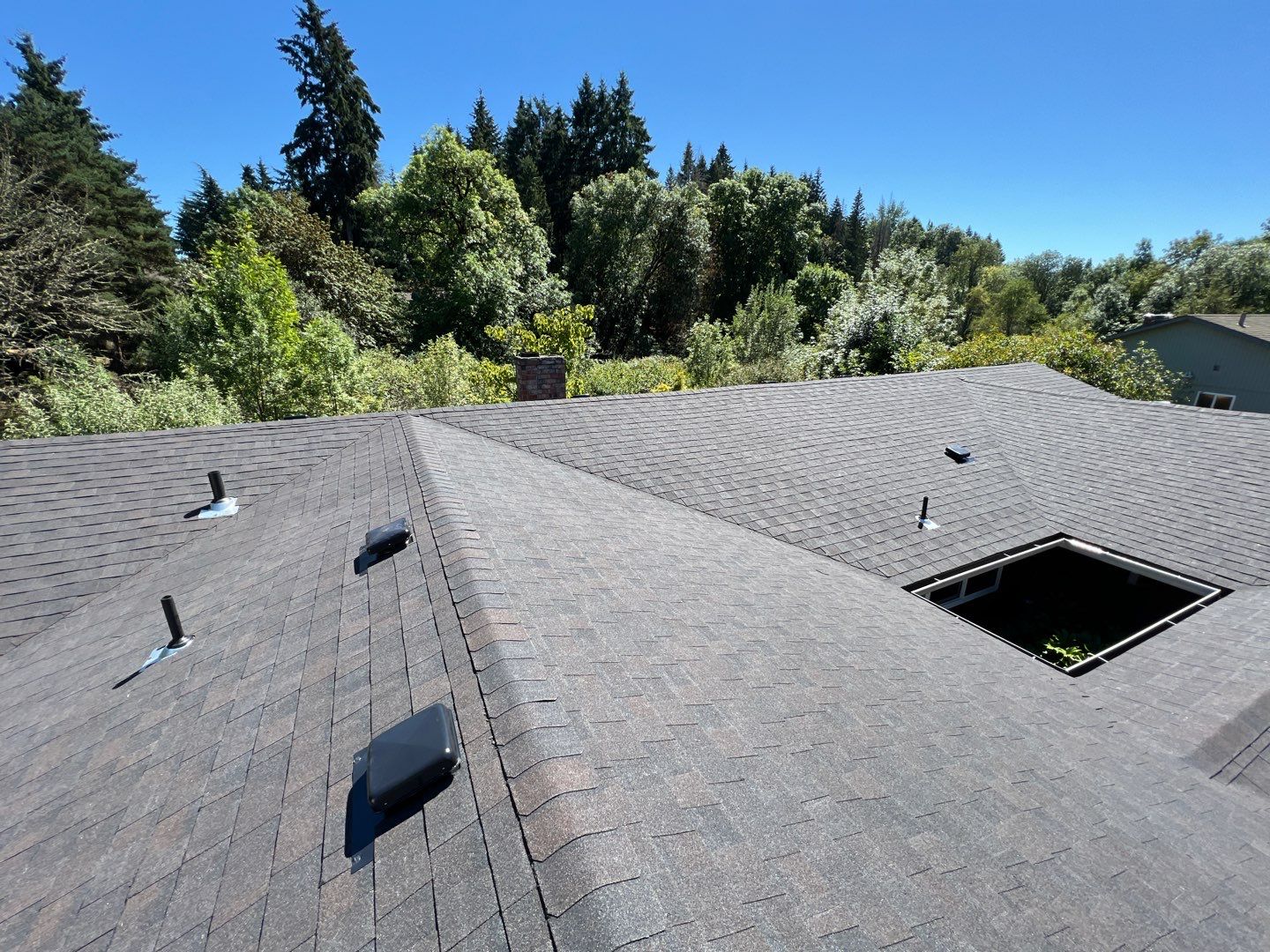 Black Sable Shingles by Reimagine Roofing