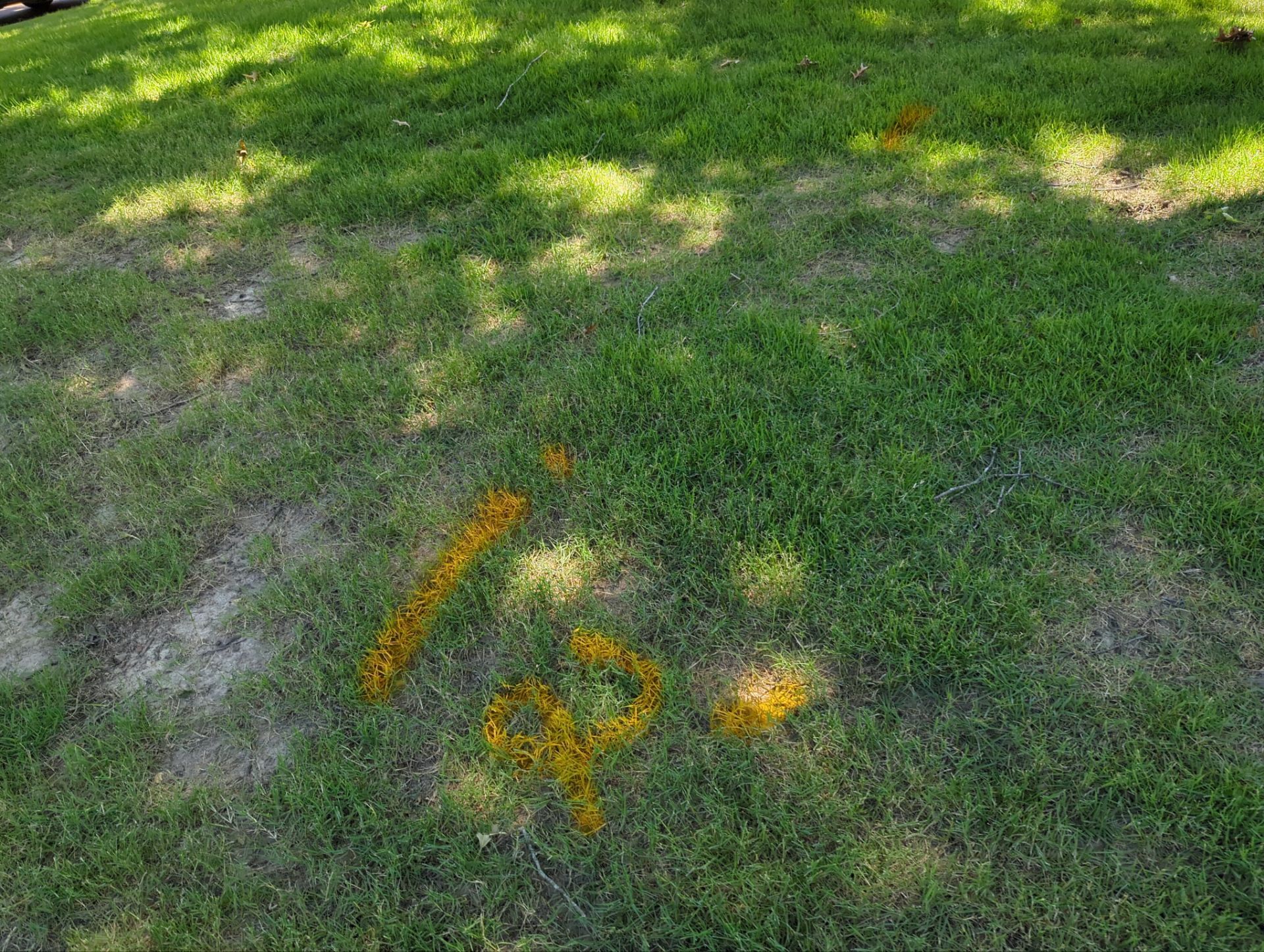 Utility Locating / GPR / Sewer Line Locate by Alsip Locating Service, LLC