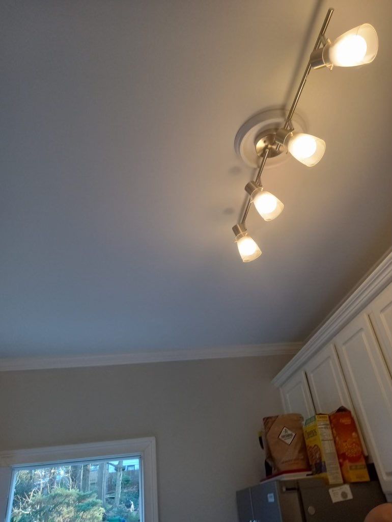 Water Damage Repair due to roof leak by Baxter Professional LLC