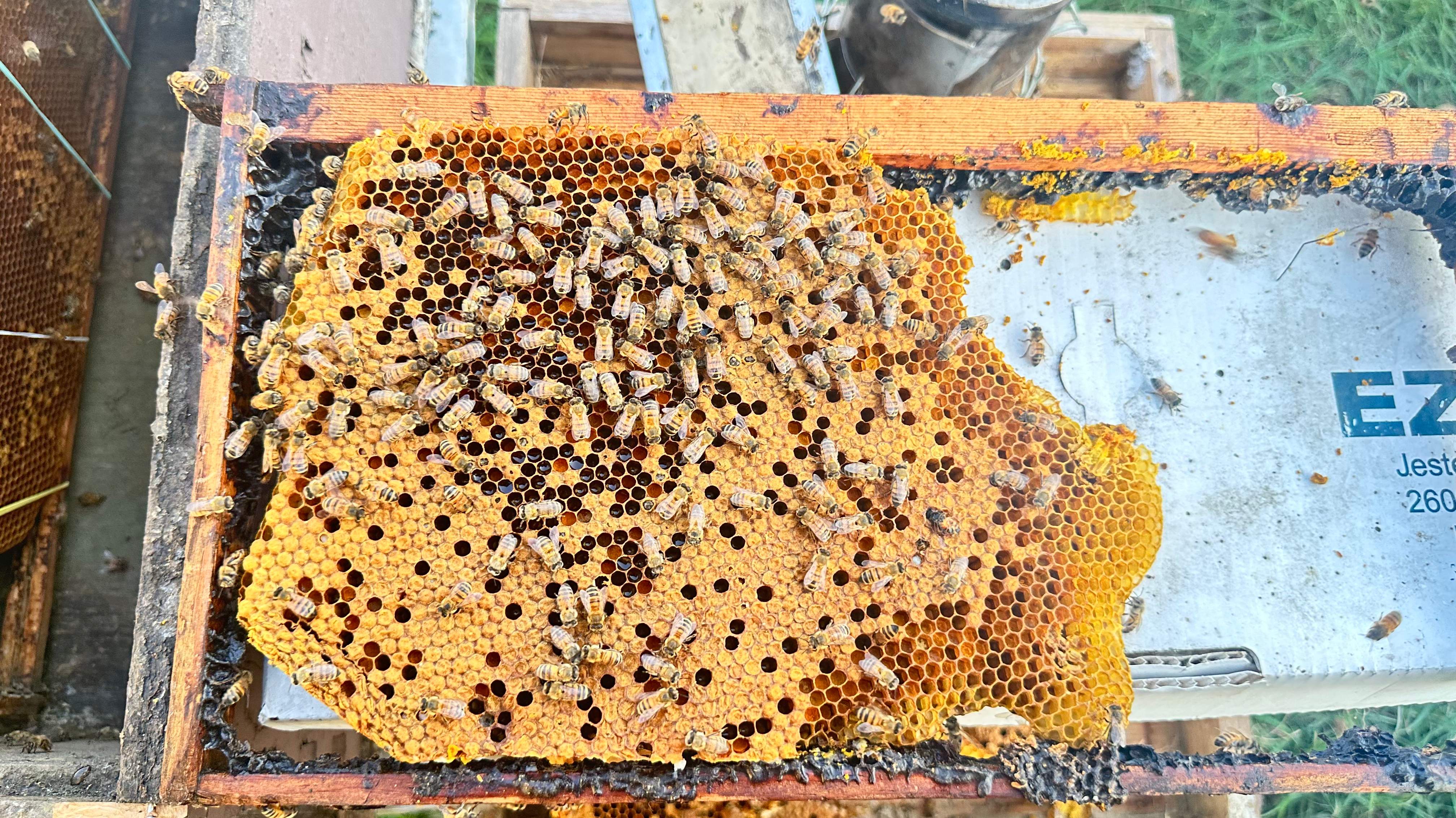 McSoffit by Rockwall Honey Bee Company