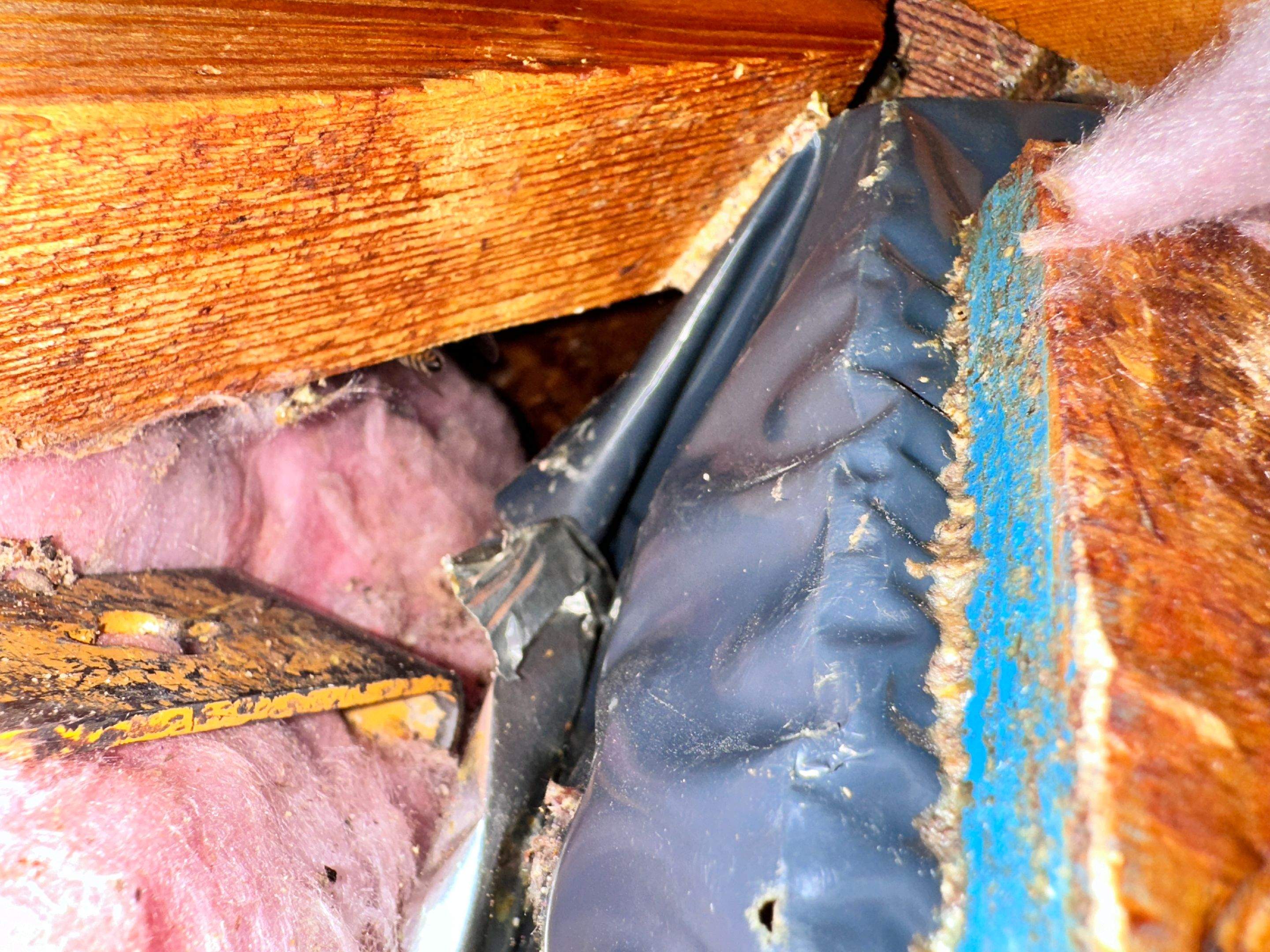 Elevated by Rockwall Honey Bee Company