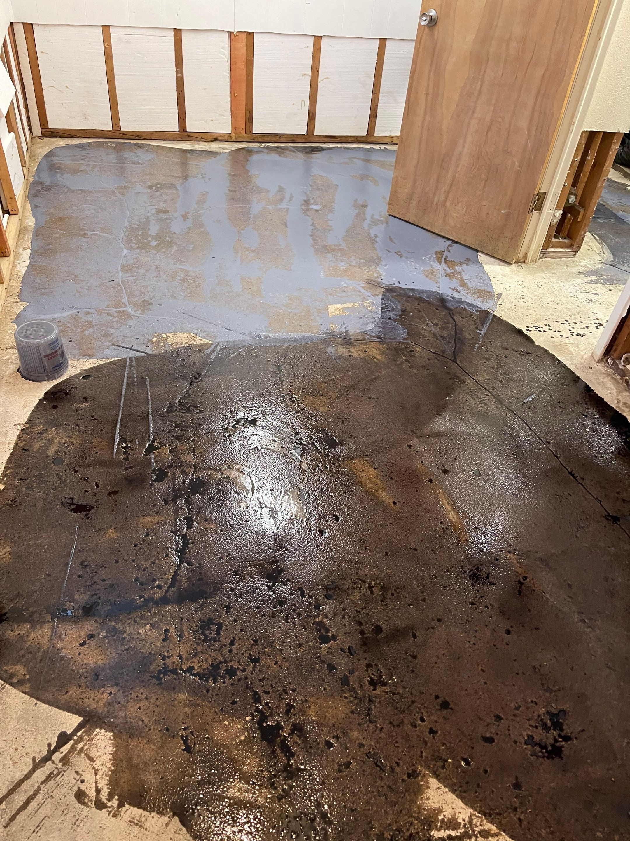 Basement using Mount Everest by Select Painting, Coatings & Garage Cabinets