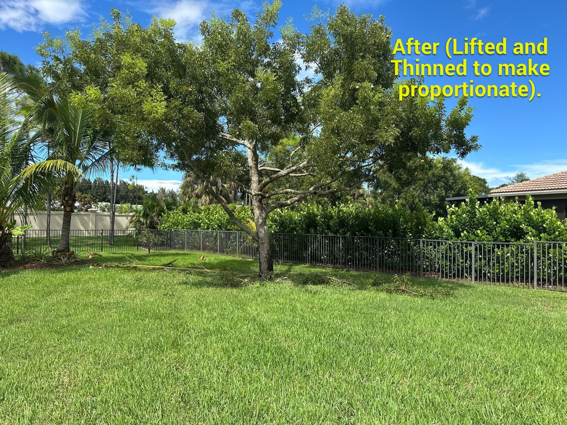 From Overgrown to Picture-Perfect - Stuart Refresh by Alpha Zeta Enterprises Inc