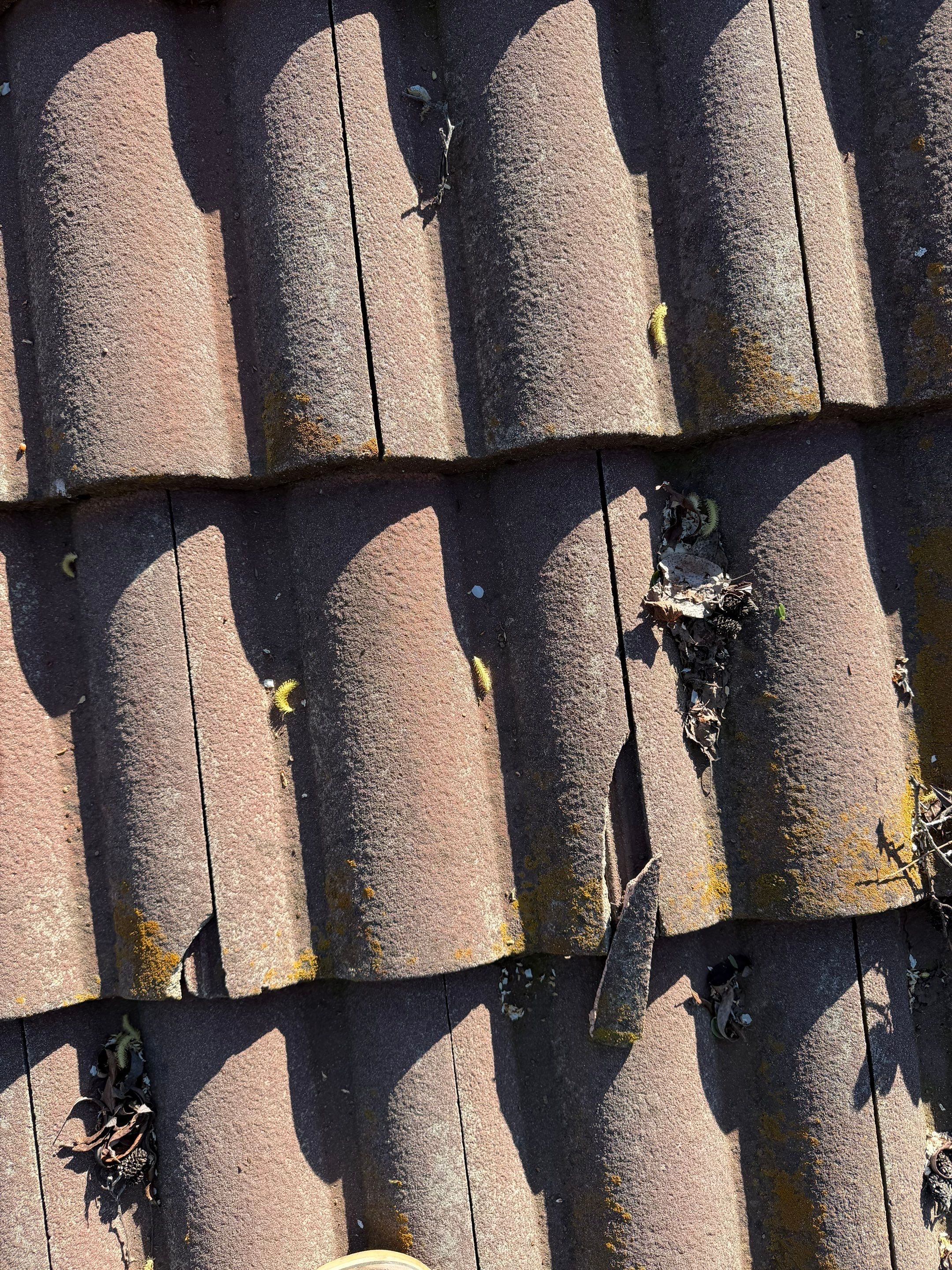 Project in Citrus Heights  by NuLead Construction Inc