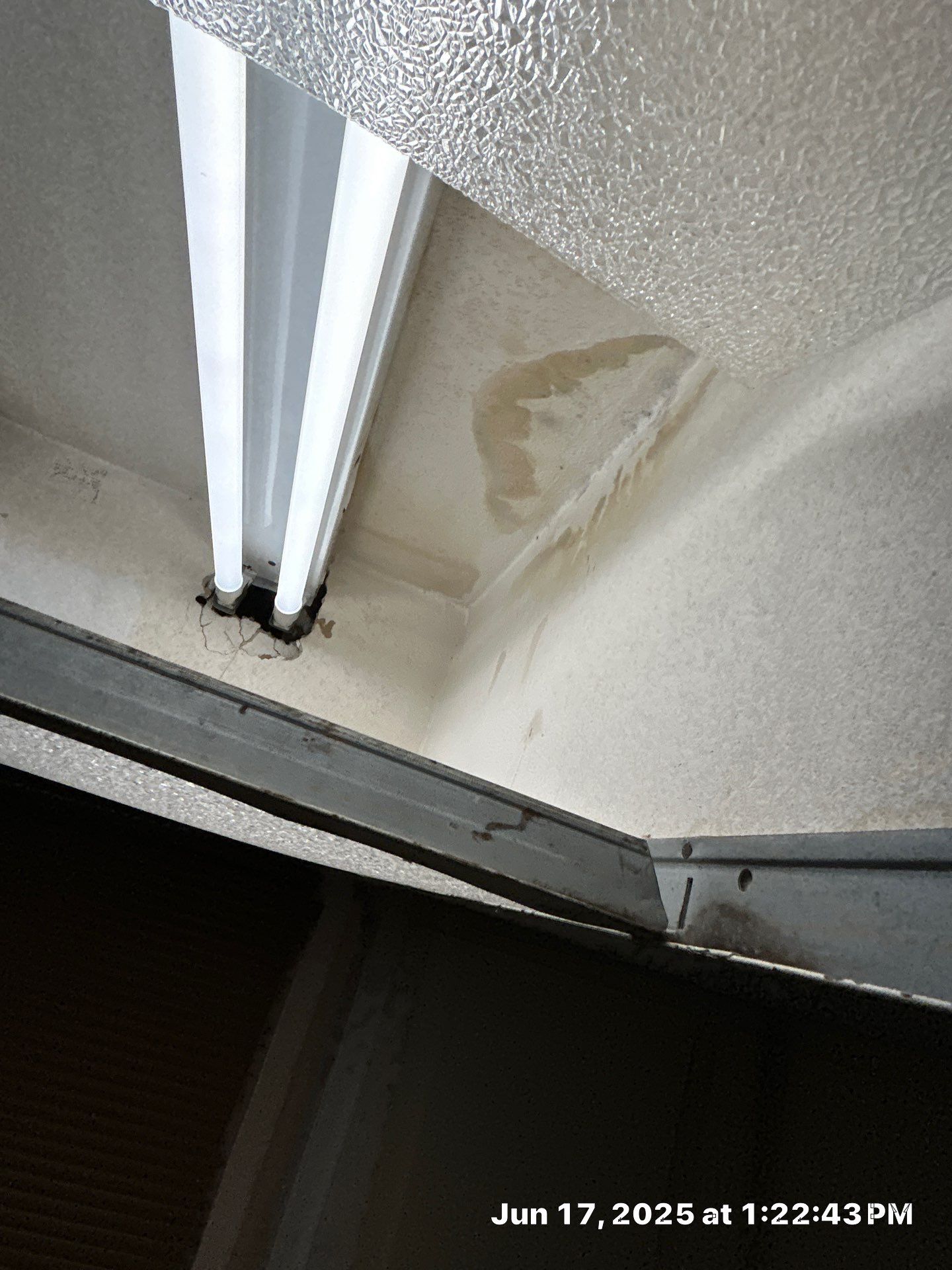 Mold Removal In Sarasota Florida by Ampm Restoration Services