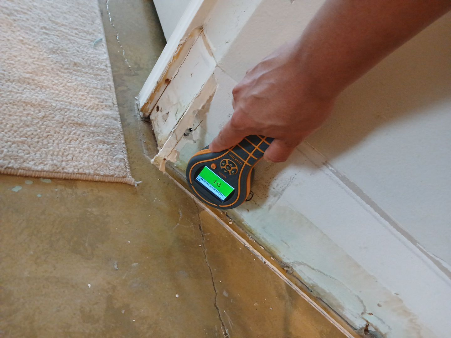 Wellington Water Damage Restoration with Thermal Imaging and Extraction by SuperClean 