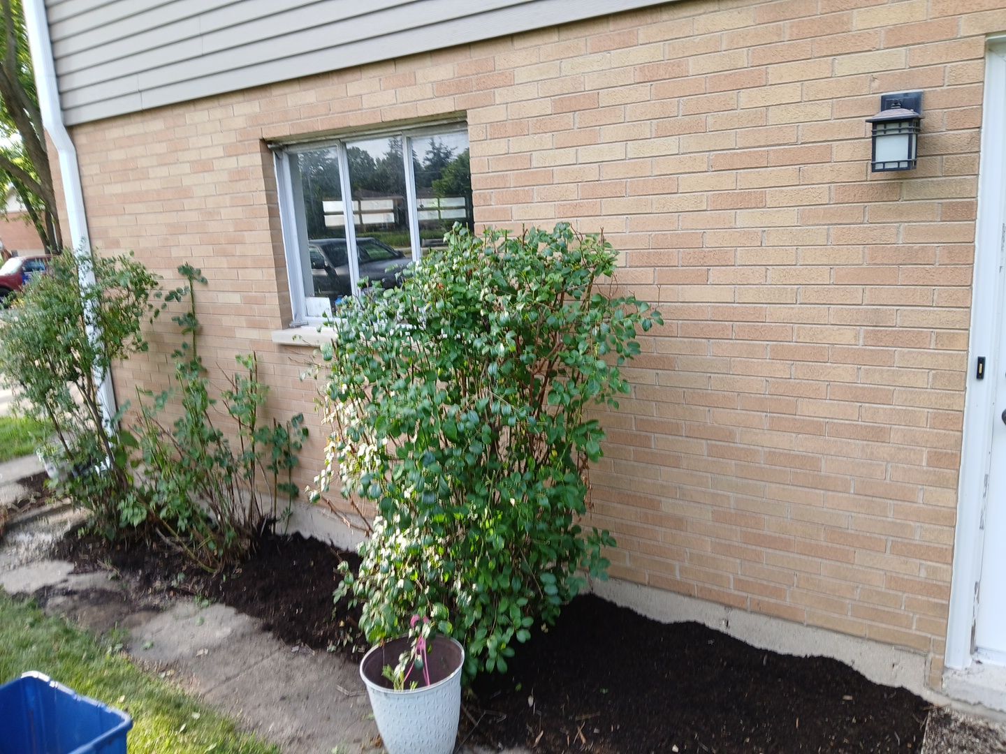 Liz L. - Mount Prospect, IL by A&N 