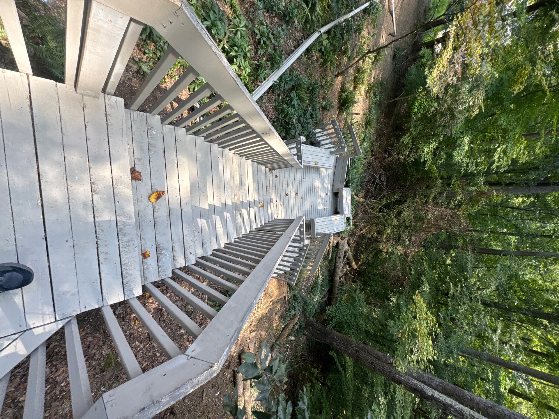 Complete exterior refresh with carpentry repairs by GonzalezPainters & Contractors Inc