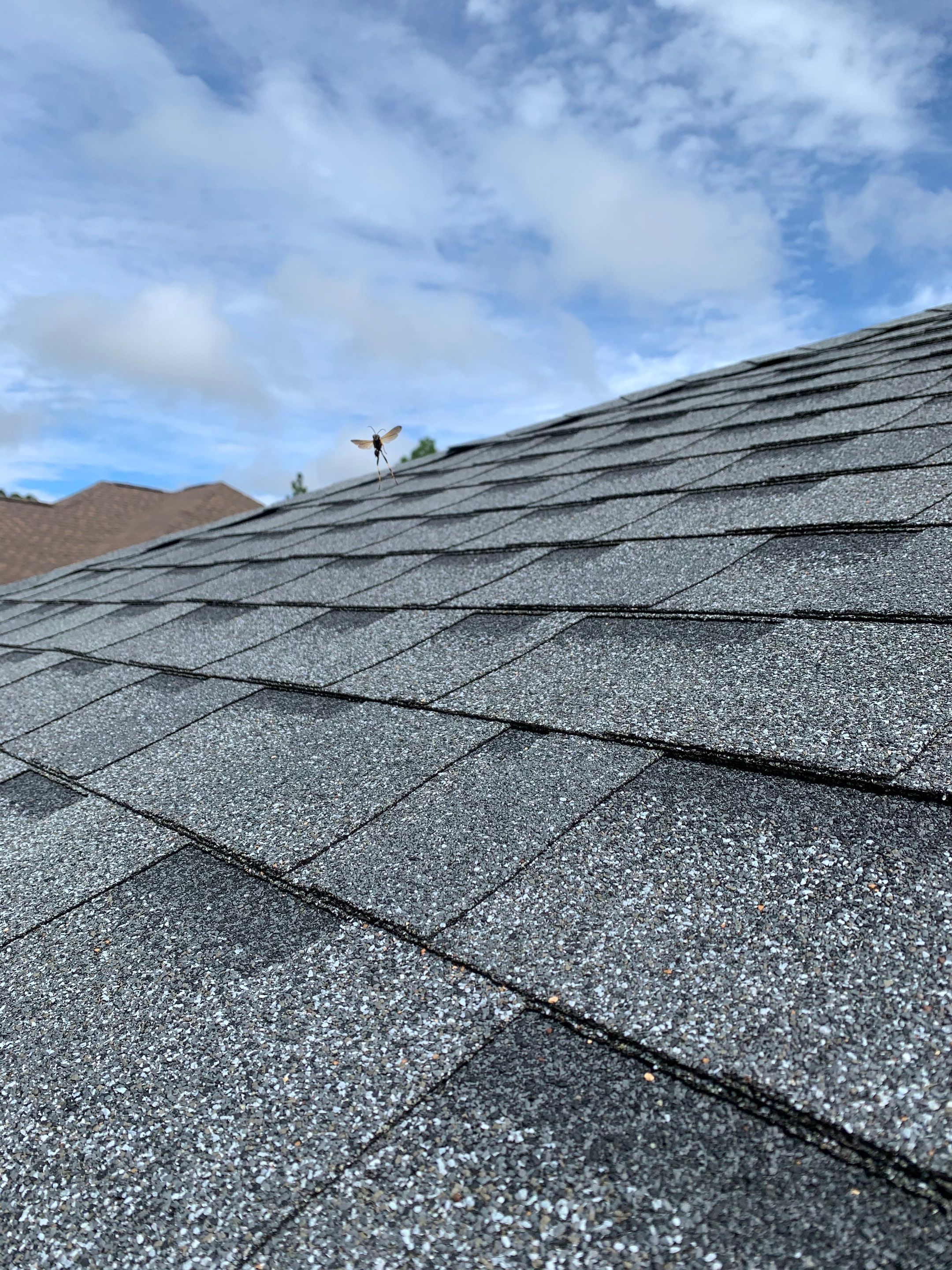 K-Style Seamless Gutter Installation using 6 Inch Seamless Gutters in Milton FL by Gutter Professors