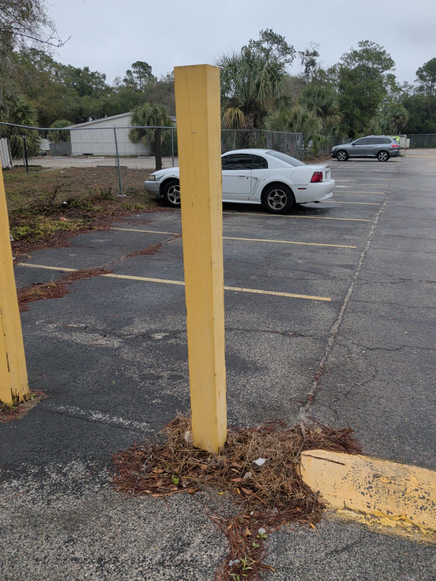 Commercial Landscape Cleanup & Weekly Maintenance — Grassy Pond Apartments by Harmoni Home Services