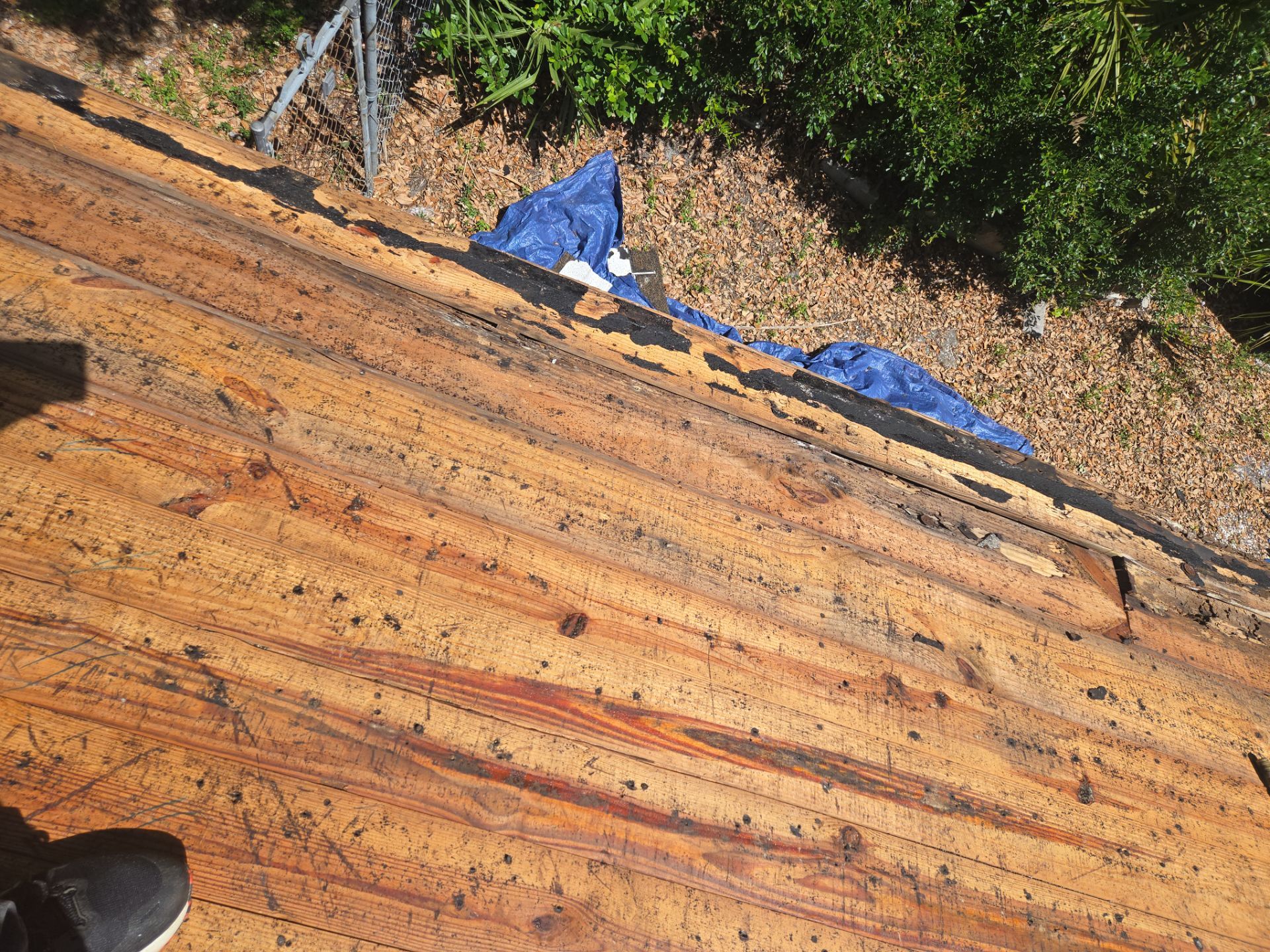 Project in St. Petersburg 33705 by Mitchell Roofing Company LLC 