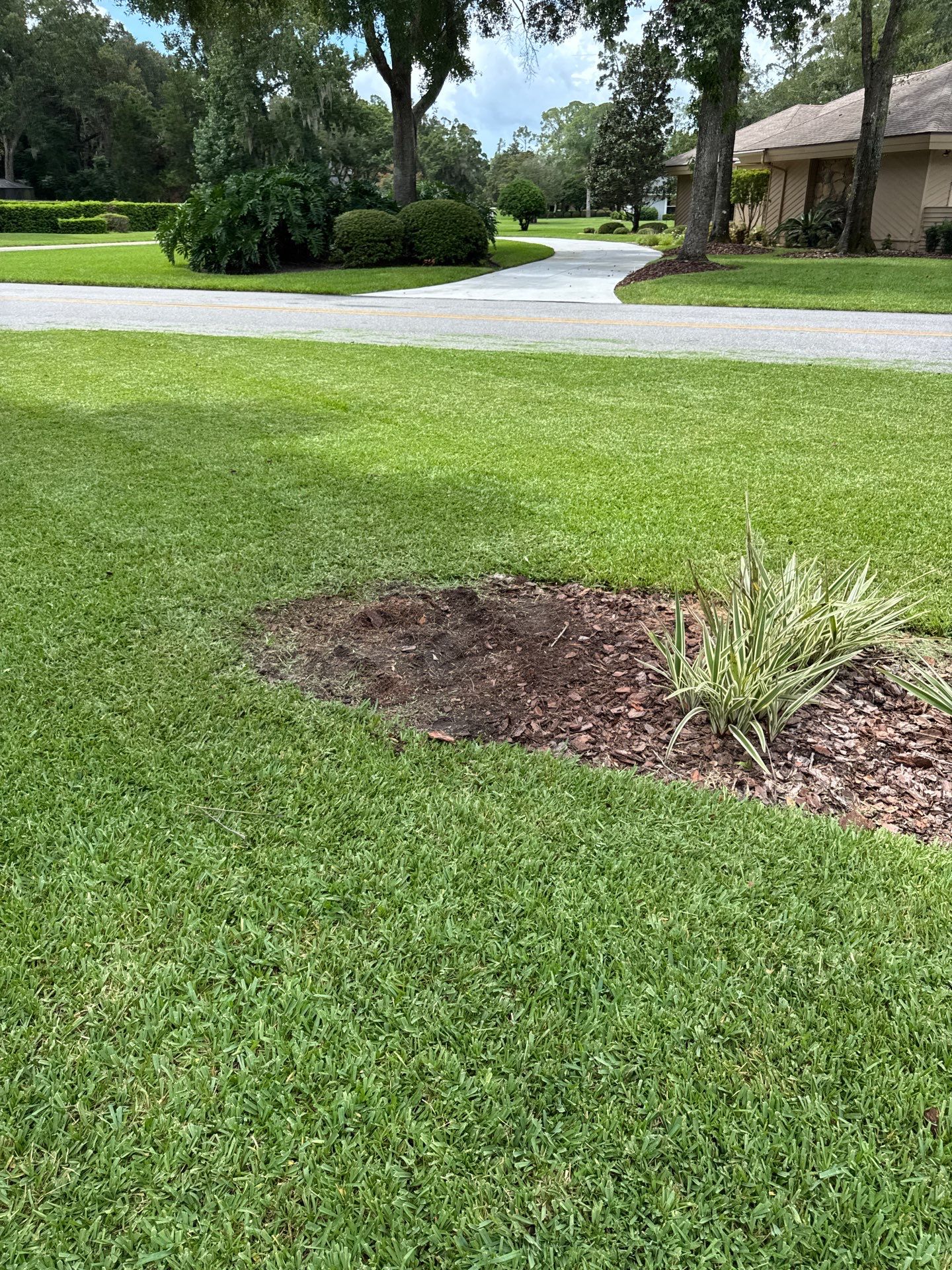 Deerwood Resident | Tree Removal by ProGreen Services