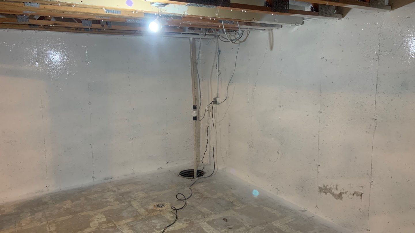 Grossly Contaminated Basement Mold by Chicagoland Water Medics