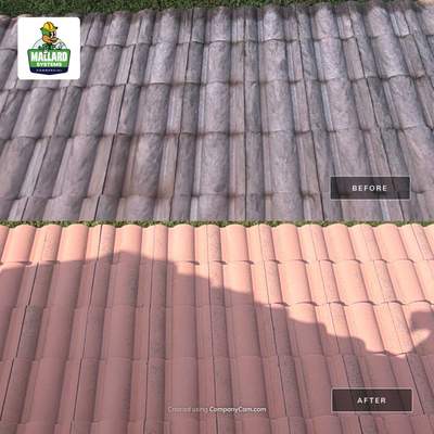 Residential Tile Roof Cleaning and Exterior House Wash in Winter Springs