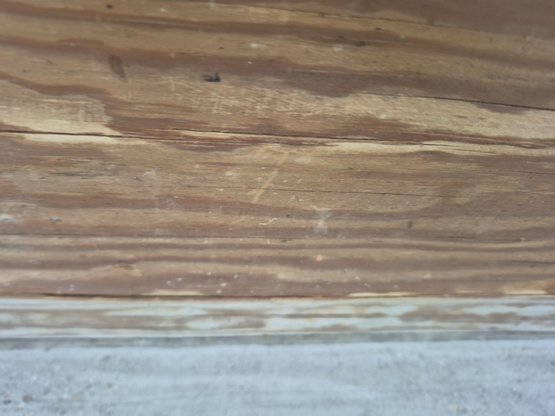 Cabin Fever  by Wise Coatings of Central Michigan