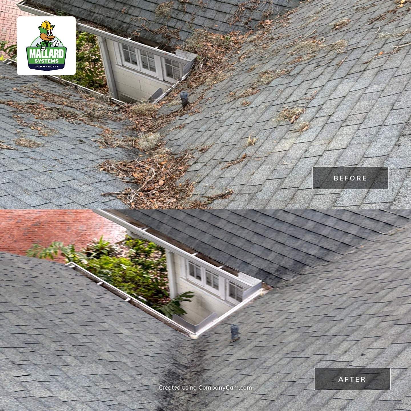Shingle Roof Cleaning and Debris Removal in Winter Park by Mallard Systems