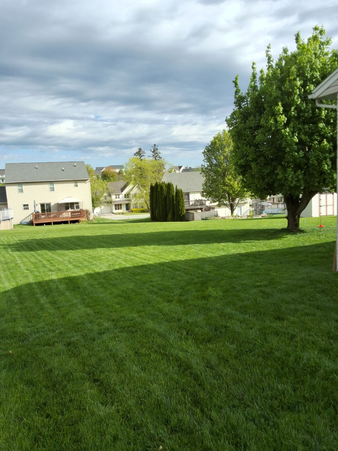 Picture Frame with Black Coated Wire by Kingdom Fence & Supply