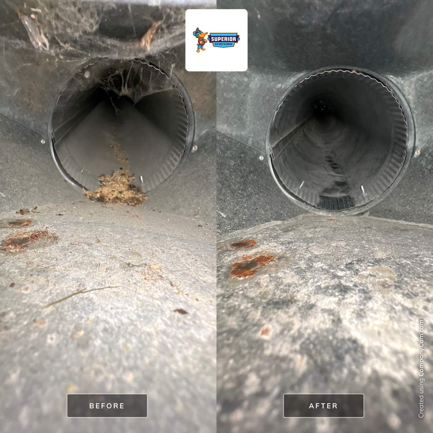 Comprehensive Residential Air Duct Cleaning and HVAC System Service in Beaver Falls by Superior Air Duct Cleaning